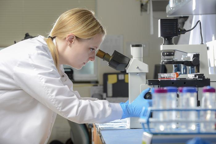 Northern Virginia welcomes global innovators with open arms