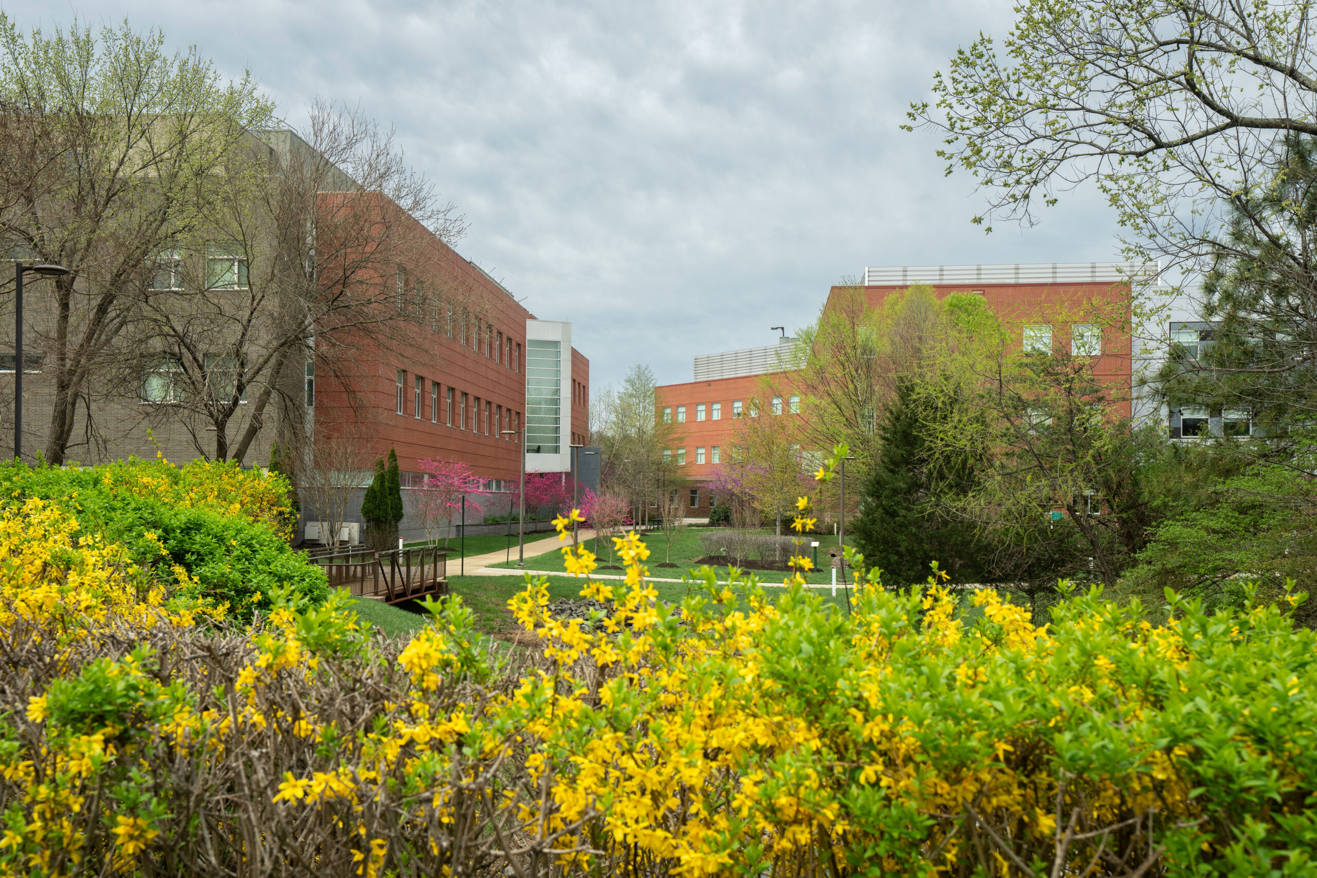 Institute for Advanced Biomedical Research